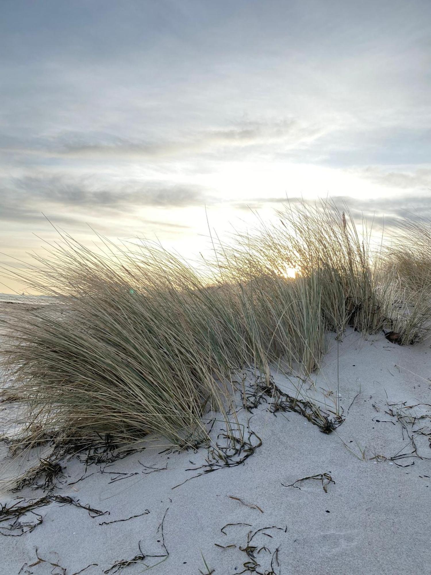 Apartmán Meehrblick App 215 Zingst Exteriér fotografie
